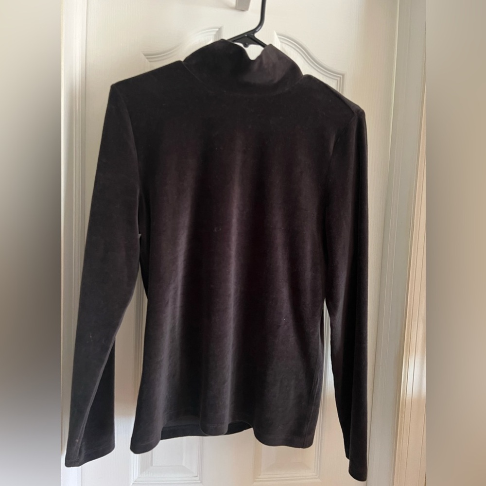 Everlane turtleneck brushed organic cotton turtleneck